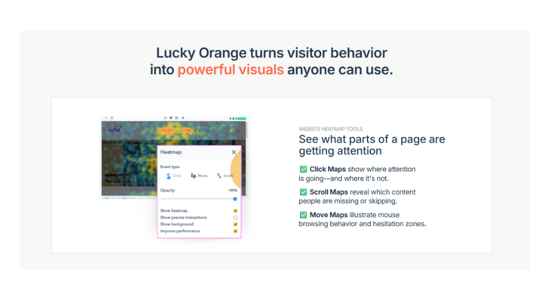 Lucky Orange features