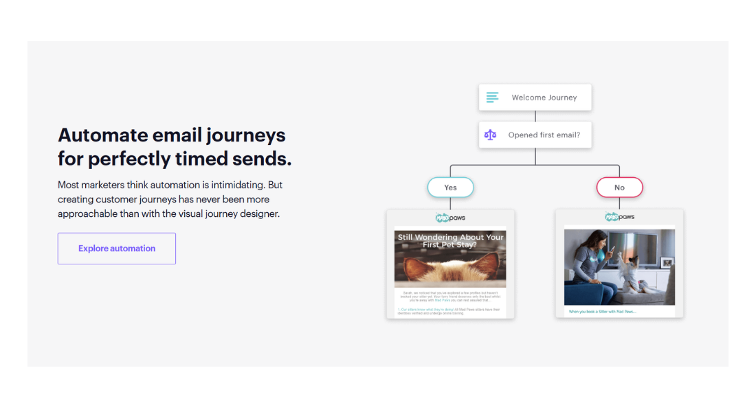 Common Ninja features