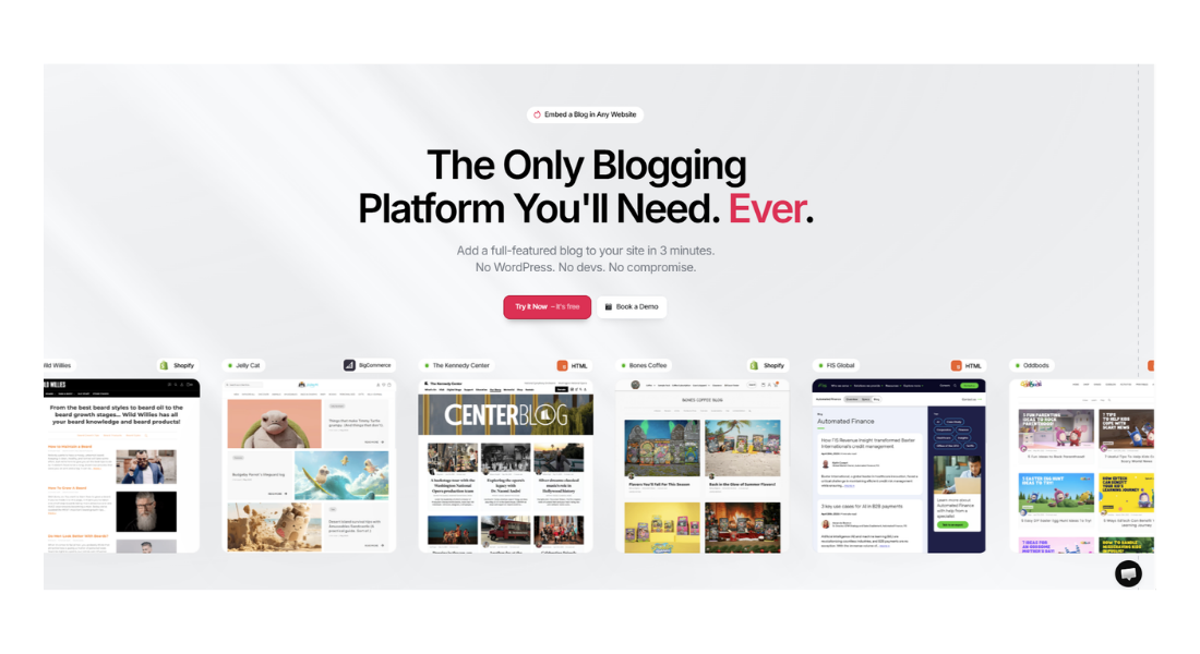 DropInBlog features